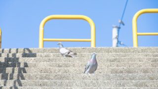 階段